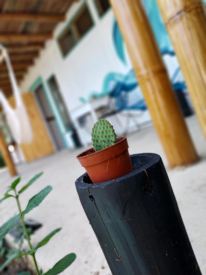 شقة Flor De Bambu أوفيتا المظهر الخارجي الصورة
